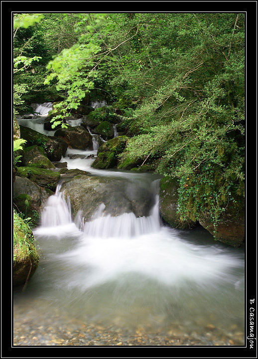 celli 3.jpg - Le Celli, vallée d'Ossau, 64